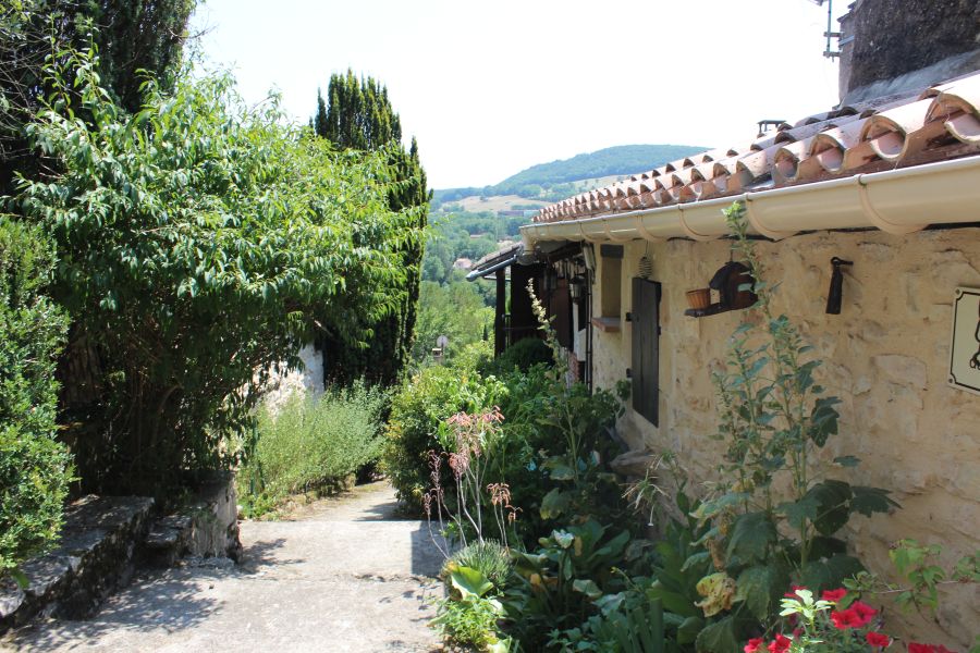 Une ruelles plantée