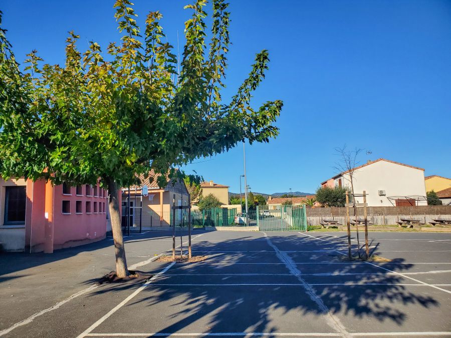 Cour élementaire actuelle