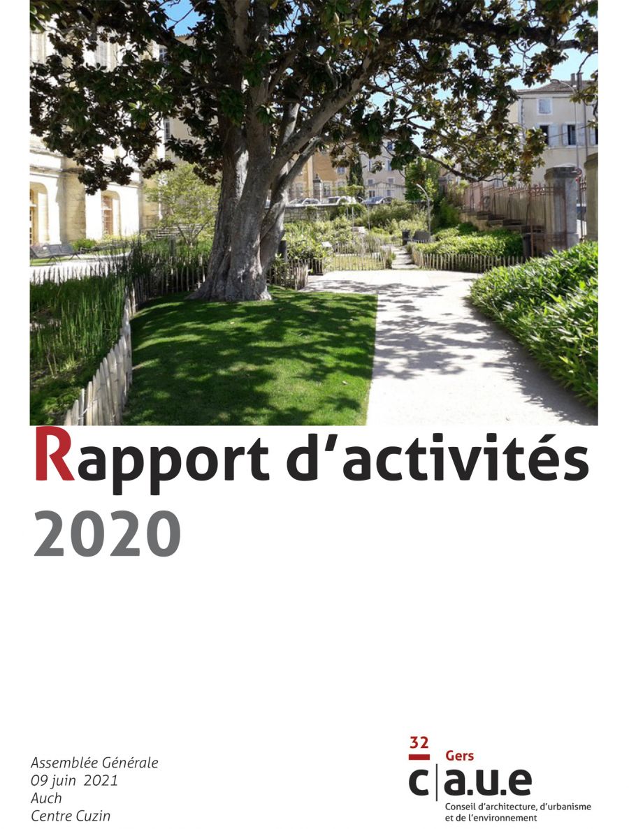 AG Rapport d'activité 2020