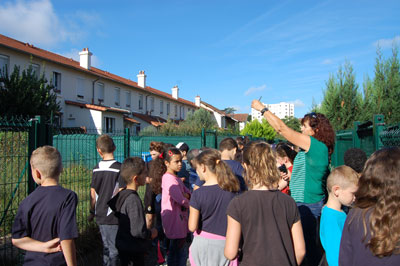 Dans les jardins de la cité des cheminots