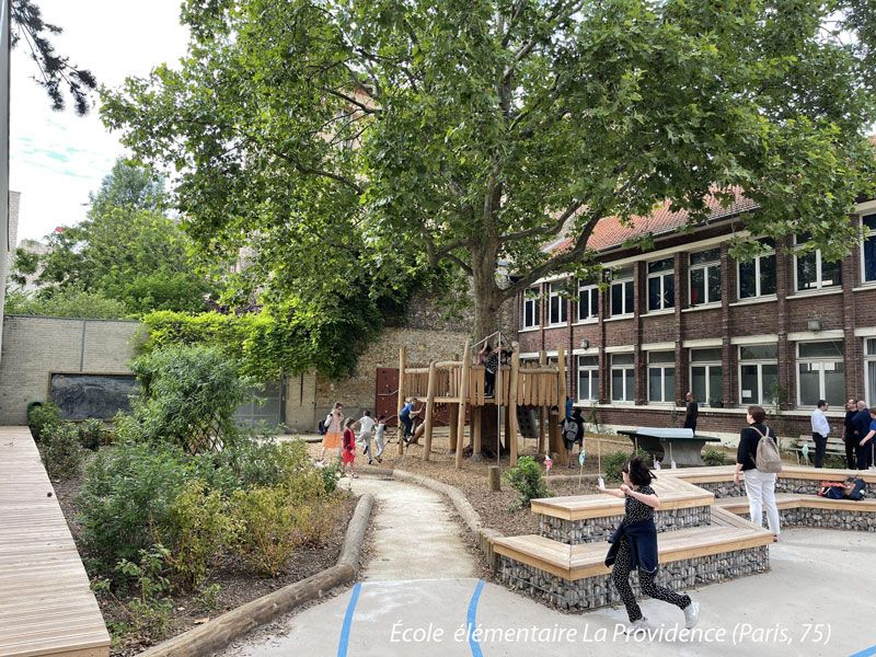 Réaménagement cour oasis - École La Providence, Paris