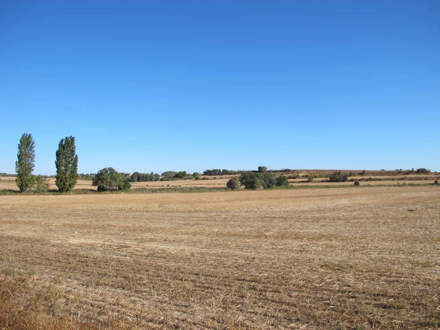Paysage agricole