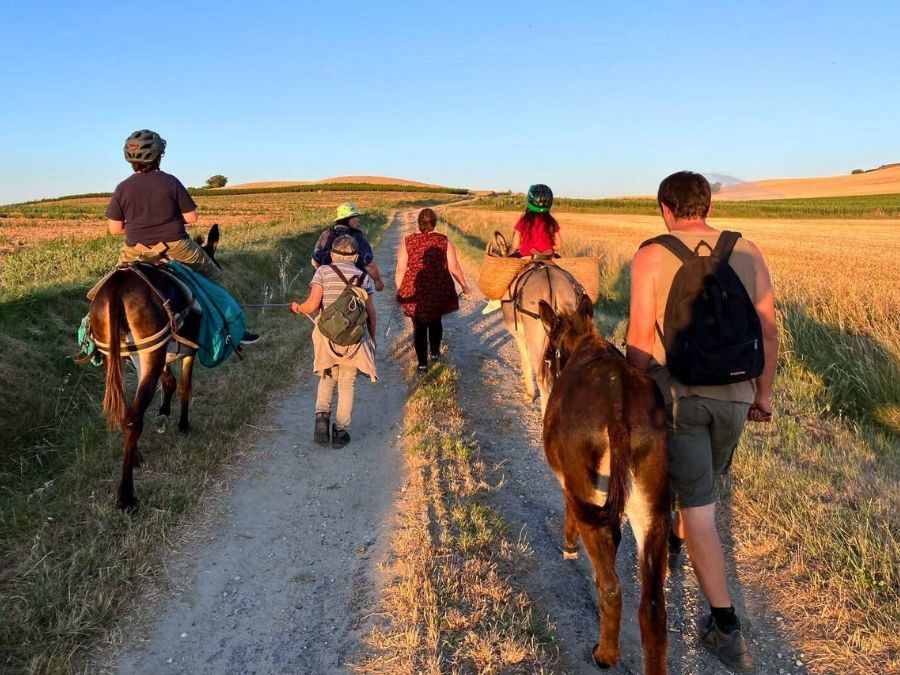 Balade à dos d'ânes en famille