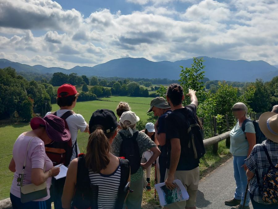 A St Bertrand de Comminges