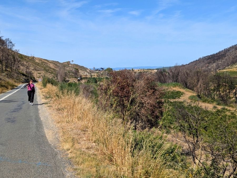 Paysagiste du CAUE durant une journée terrain OPP