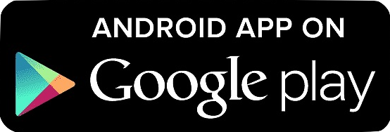 Logo Google playstore