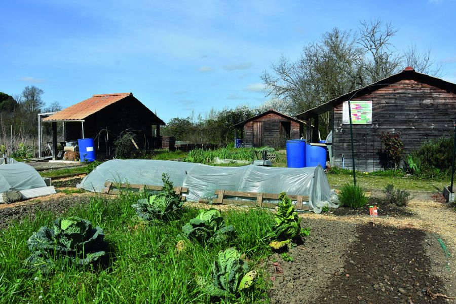 Jardin de Grisolles