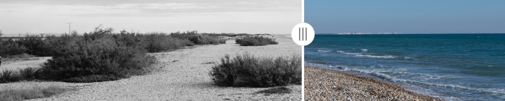 Extrait de l'OPP34 : plage des Aresquiers, Frontignan