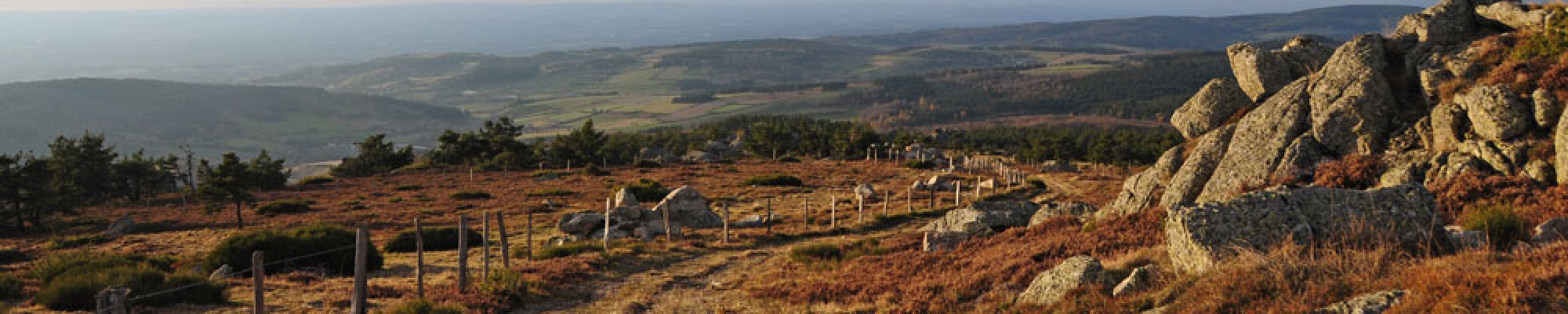 Monts et plateaux du Massif central 