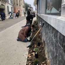 Plantation du pied de façade, côté rue, 2023