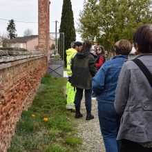 Visite de cimetières végétalisés