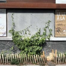 Le pied de façade, côté rue, printemps 2024