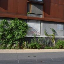 Le pied de façade, côté rue, 2024