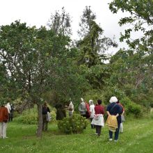 Arboretum de la Bergerette