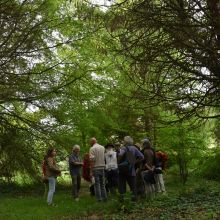 Arboretum de la Bergerette