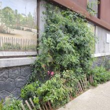 La façade du CAUE 34, 2025