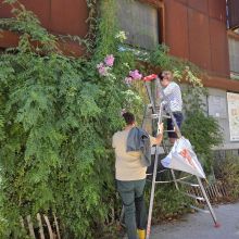 La façade du CAUE 34, 2025