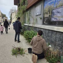Plantation en façade, 2026