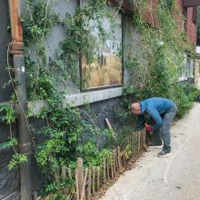 Plantation en façade, 2026