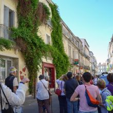 Plantation de plus de 100 grimpantes dans le quartier !