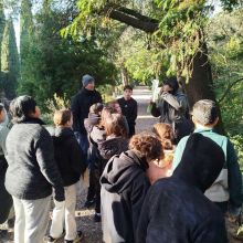 Les mystères de Montpellier 2026. Crédit : AV, CAUE 34