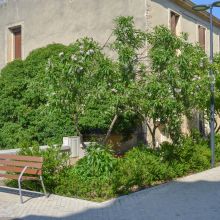 Crédit photo : J. Chouvel, CAUE 34