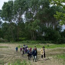 Espace Naturel Sensible de Bourret 2