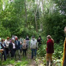 Espace Naturel Sensible de Bourret 4