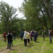 Espace Naturel Sensible de Bourret 1