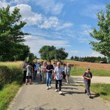 A la découverte du patrimoine végétal