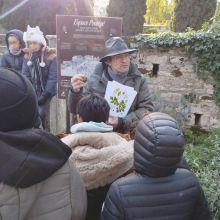 Les mystères de Montpellier 2026. Crédit : AV, CAUE 34