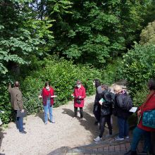 Jardin des plantes 1