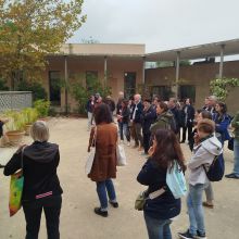 Visite du jardin antique méditerranéen commentée par Stéphane Ferrandis, directeur
