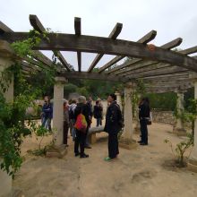 Visite du jardin antique méditerranéen à Balaruc