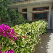 La coursive du 1er étage, 2024