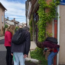 Sauvages des rues de Lafrançaise 1