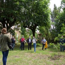 Parc de l'ancienne Maison de Retraite de Montech 3