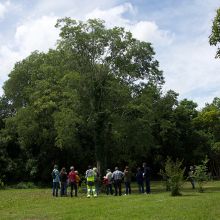 Parc de l'ancienne Maison de Retraite de Montech 5