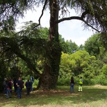 Parc de l'ancienne Maison de Retraite de Montech 6