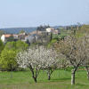 Vélieux