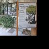 Exposition "Quand la rue prend racine"