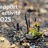 Couverture du rapport d'activité 2025