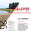 Extrait couverture Calepin n°26