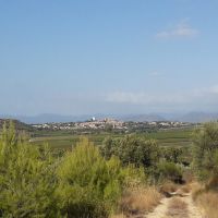 Vue sur Puissalicon depuis le Pech Bellonet.