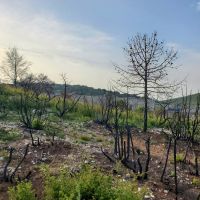 Photographie de Julie Chouvel, paysagiste au CAUE 34