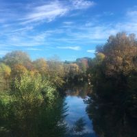 Les bords du Lez. Crédit photo : LC, CAUE 34