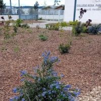 Vue jardin_Collège_Rosa PArks