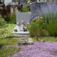 Cimetière de Pennautier (Aude)