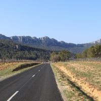 Communauté de communes du Grand Pic Saint-Loup