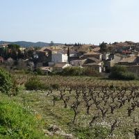 La Livinière. Crédit photo : CAUE 34